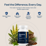 Breathe P.M. — Your Calm Nightly Ritual for Rest & Everyday Respiratory Wellness