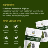 Pure Mullein Leaf Tea — Clear, Comforting Breathing, One Cup at a Time