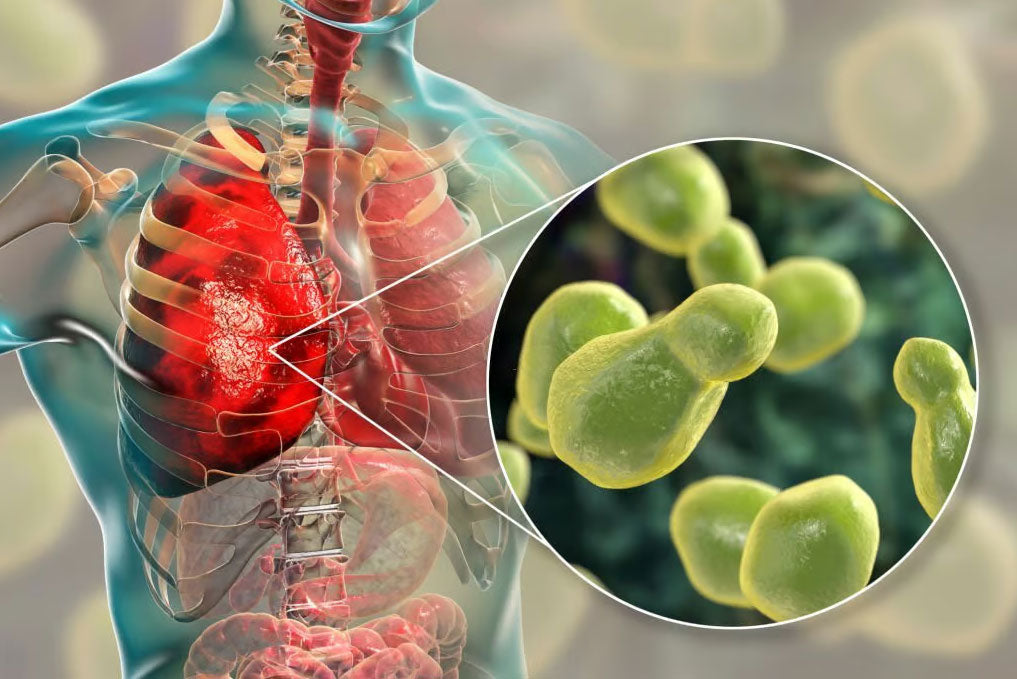NEW DISCOVERY: Breathe Freely Again With This ‘Lost Herb’ That’s Revolutionizing Respiratory Health in Just Days!