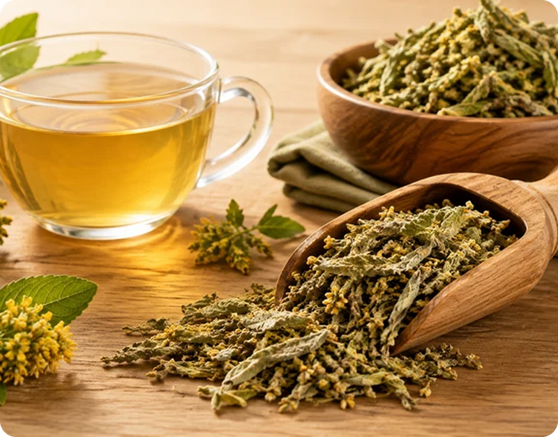ROOTED IN HERBAL TRADITION