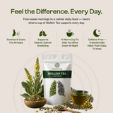 Pure Mullein Leaf Tea — Clear, Comforting Breathing, One Cup at a Time