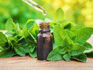 Peppermint Leaf