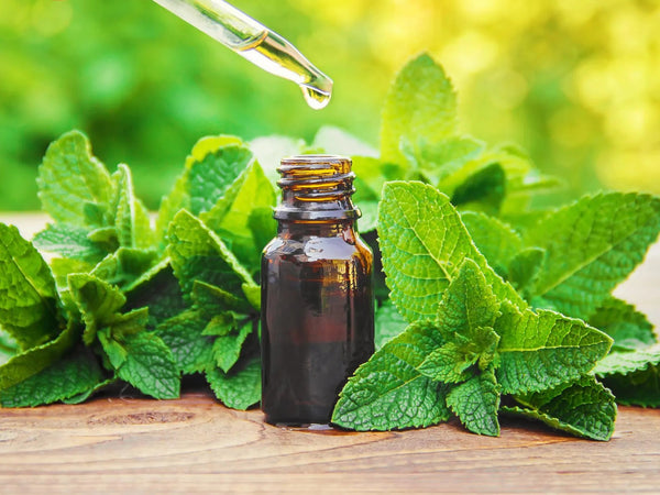 Peppermint Leaf