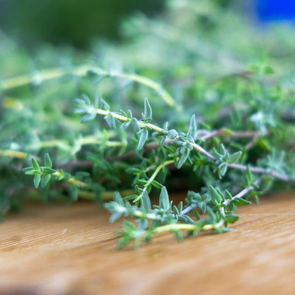 Thyme Leaf (250mg)