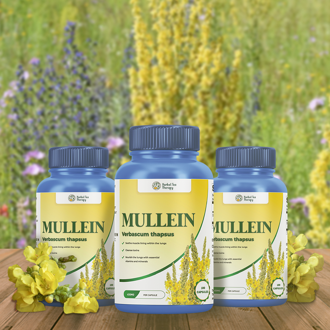 Try 2 Bottles + Get 1 FREE! Mullein Capsules (3 Pack)